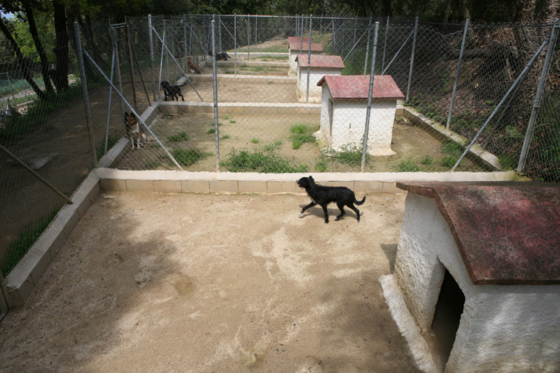 Residencia canina La Masia